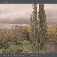 The Morningside - The wind, the trees and the shadows of the past